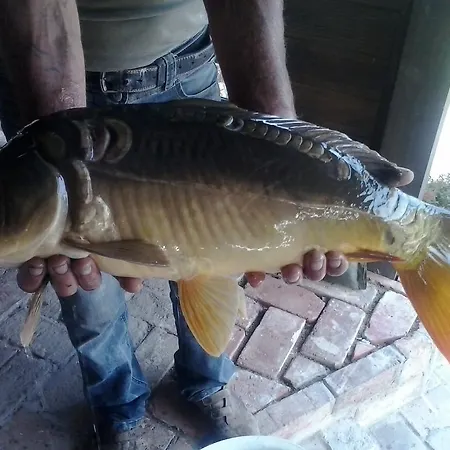 Kuruc To Gyorvar Horgasz Es Szabadido Park Maison d'hôtes Zalaszentgrót